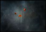 Mushroom flowers poster - Plakatbar.no