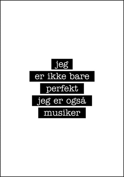 Musiker - Jeg er ikke bare perfekt Plakat - Plakatbar.no