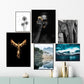 Naturposter - fotokunst - Plakatbar.no