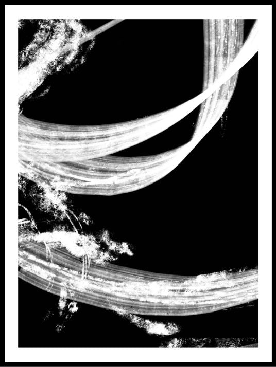 Negatives Tapestry - Poster