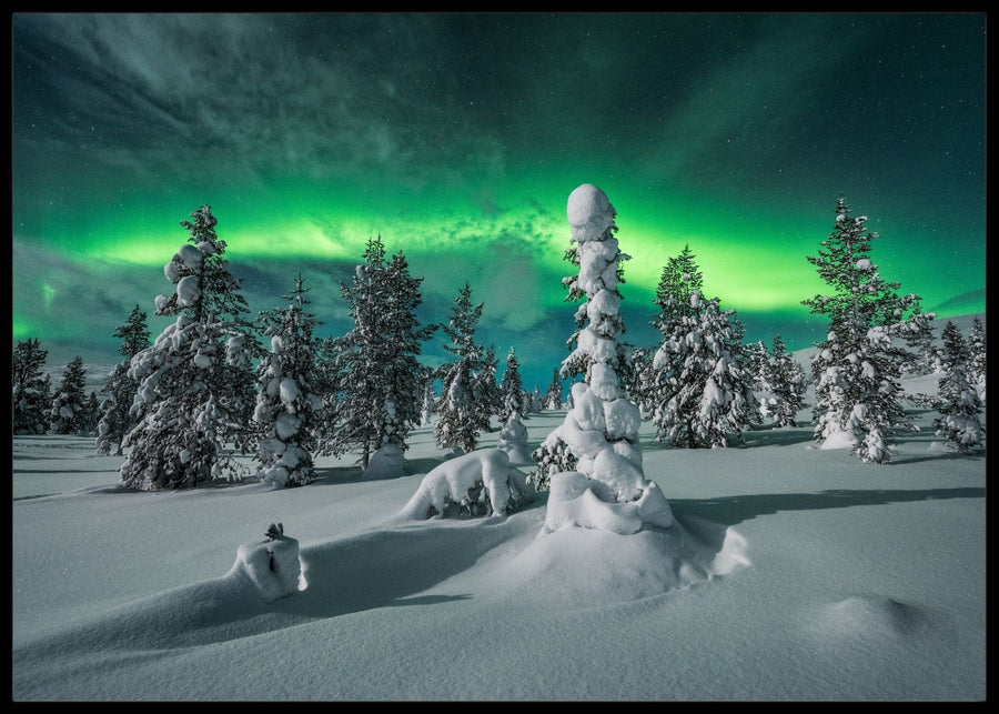 Northern lights over winter forest posters