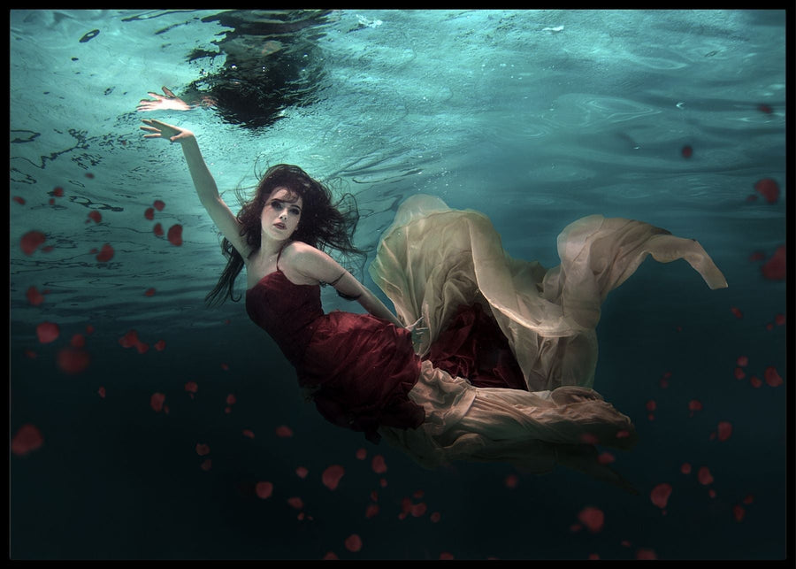 Ocean of roses - Poster