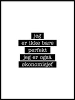 Økonomisjef - Jeg er ikke bare perfekt Plakat - Plakatbar.no