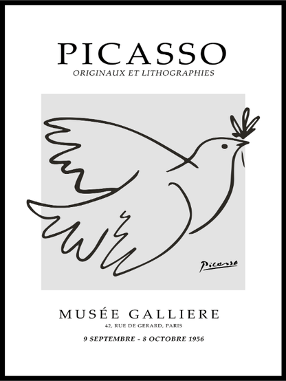 Pablo Picasso Dove - Plakat - Plakatbar.no