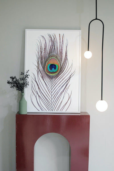 Påfuglfjær - Plakatbar.no