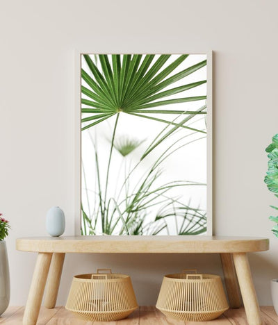 Palm leaves poster - Plakatbar.no