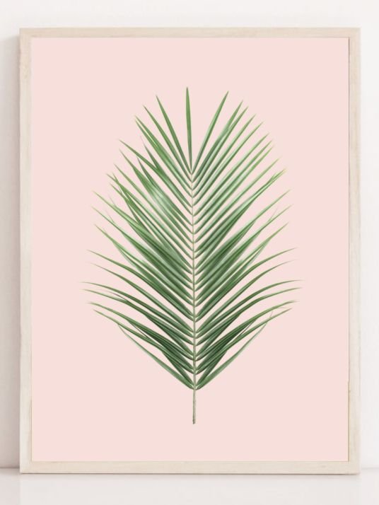 Palmeblad blush