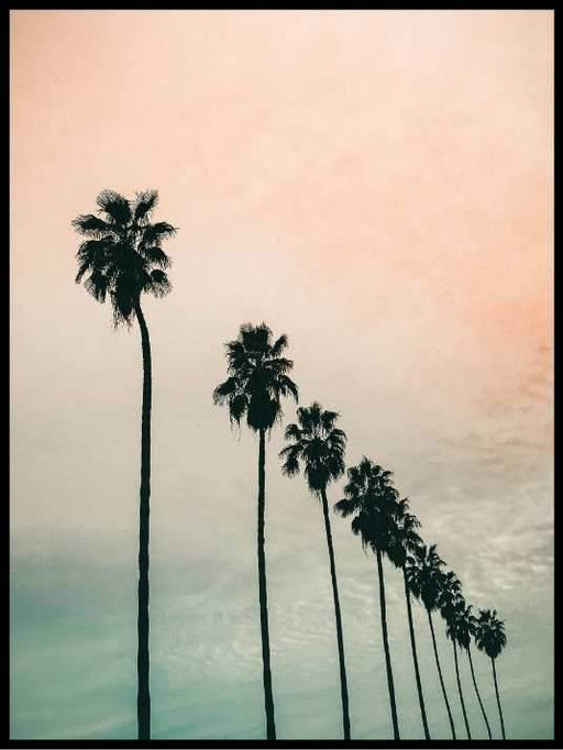 Palms at the sea - Poster - Plakatbar.no