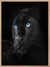 Panther 02 - Blue Eyes Poster - Plakatbar.no