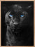Panther - Blue Eyes Poster - Plakatbar.no