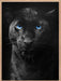 Panther - Blue Eyes Poster - Plakatbar.no