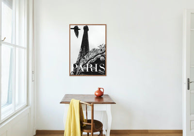 Paris Dove - poster - Plakatbar.no