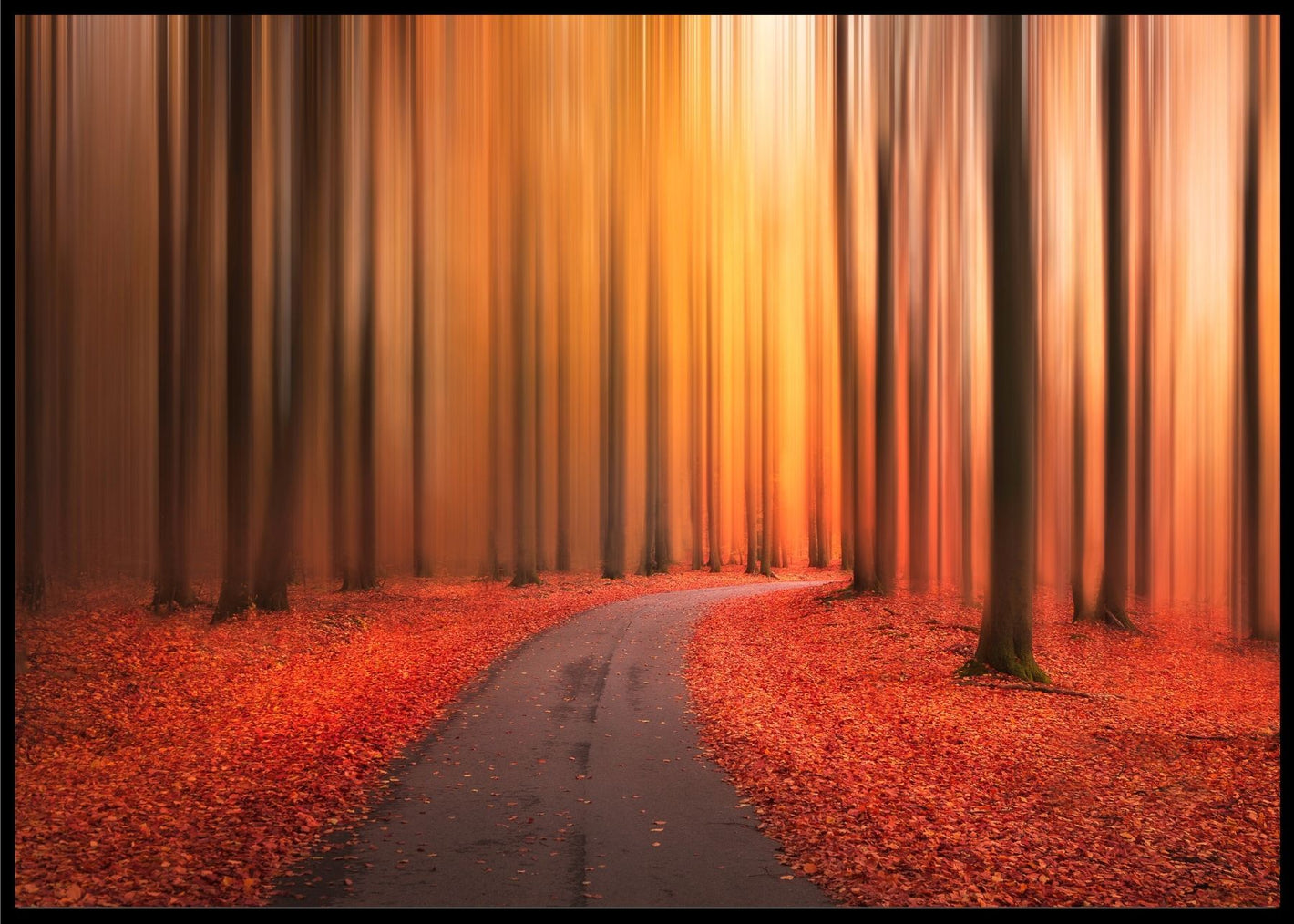 Path to unknown poster - Plakatbar.no