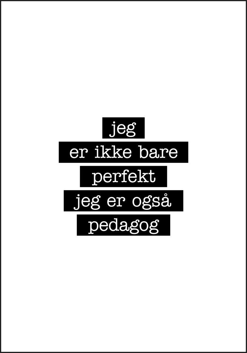 Pedagog - Jeg er ikke bare perfekt Plakat - Plakatbar.no