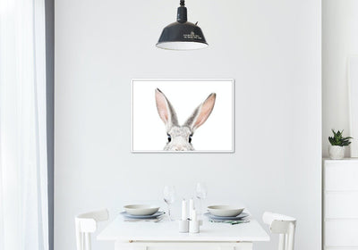 Peeking Bunny - Plakatbar.no