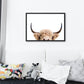 Peeking Cow - Plakatbar.no