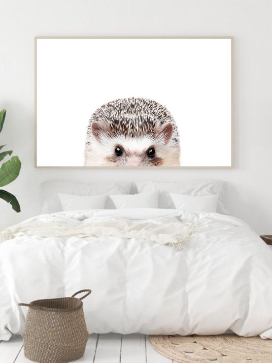 Peeking Hedgehog