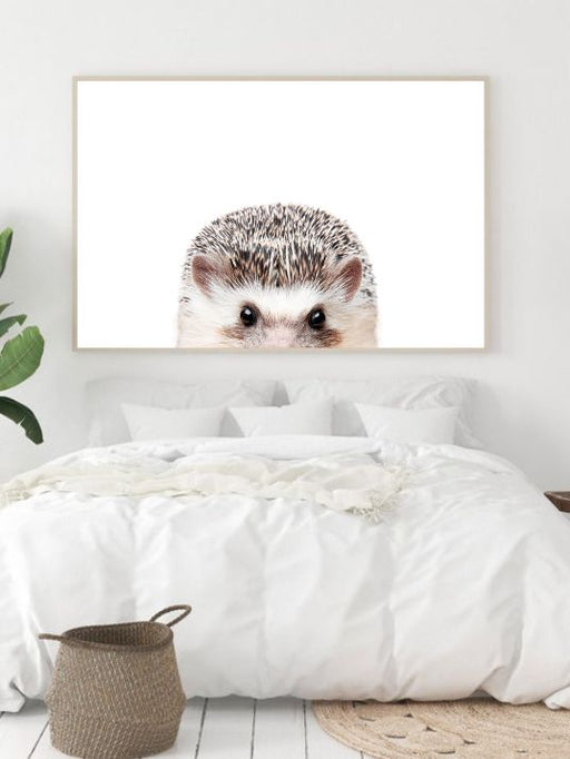 Peeking Hedgehog - Plakatbar.no