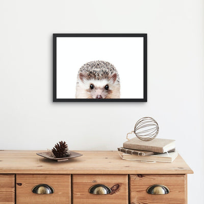 Peeking Hedgehog - Plakatbar.no