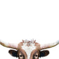 Peeking Longhorn Cow - Plakatbar.no