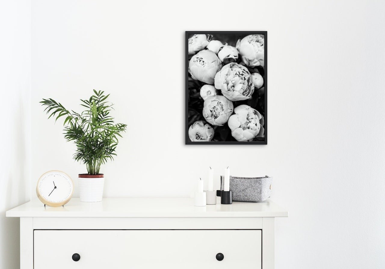 Peoner - Plakatbar.no