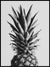 Pineapple black and white poster - Plakatbar.no