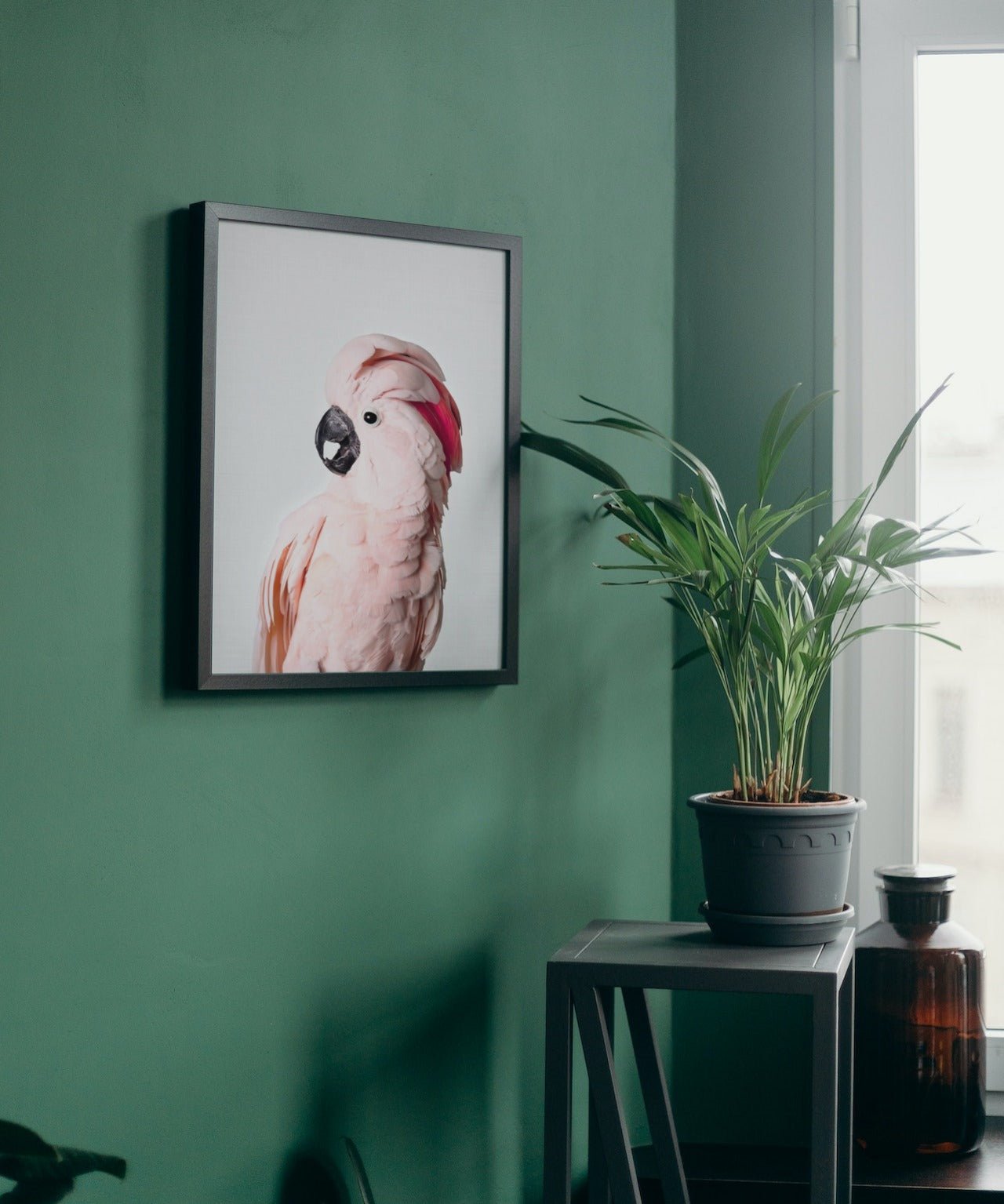 Pink Cockatoo - Plakatbar.no