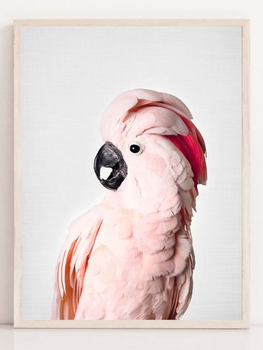 Pink Cockatoo - Plakatbar.no