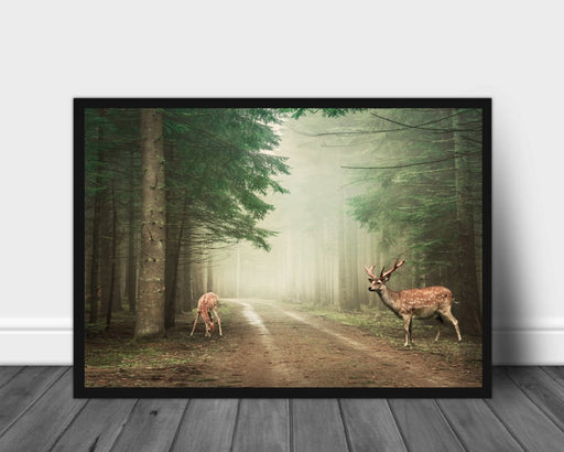 Plakat av to hjorter som beiter i skogen - Plakatbar.no