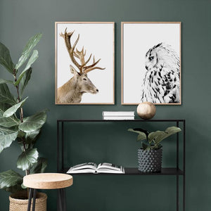 Plakat av ugle - Plakatbar.no