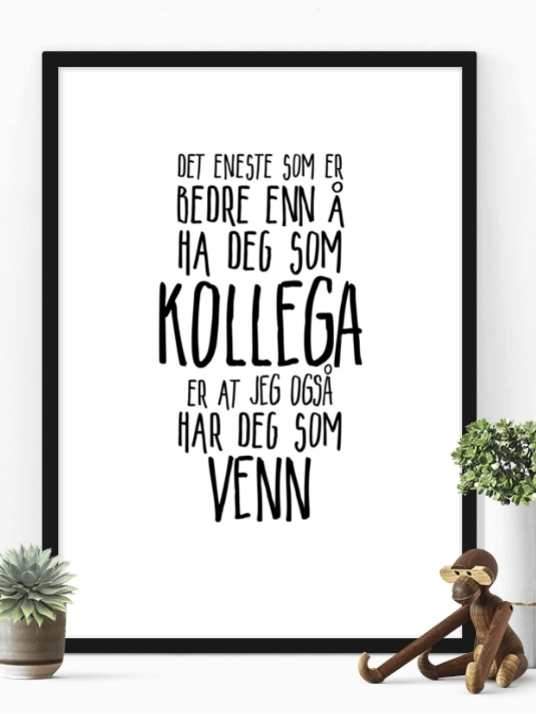 Plakat til kollega og venn - Plakatbar.no