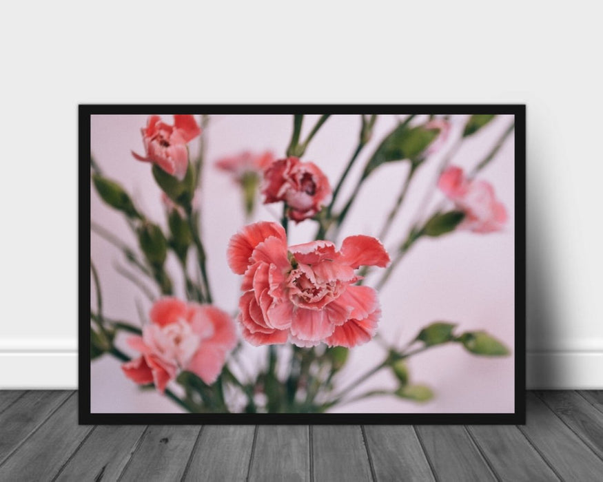 poster rosa blomster