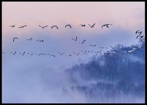 Poems and dreams poster - Plakatbar.no