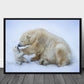 Polar bear with mom poster - Plakatbar.no
