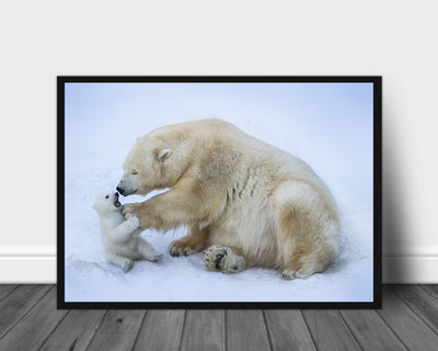 Polar bear with mom poster - Plakatbar.no