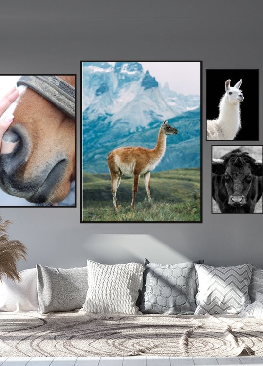 Poster av lama - med fjellandskap - Plakatbar.no