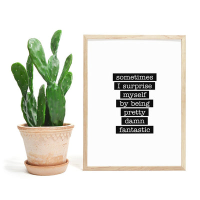 Pretty Damn Fantastic - Flott Plakat - Plakatbar.no