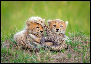 Promising poster - Plakatbar.no