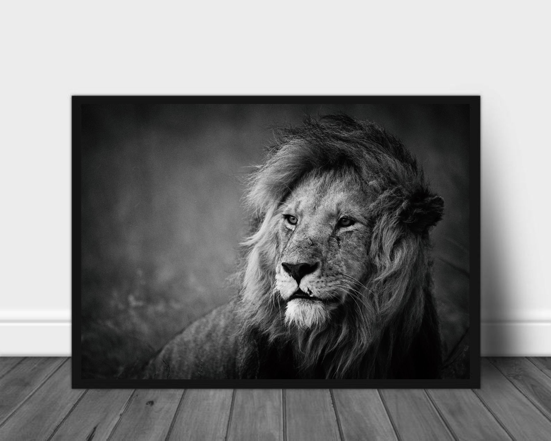 Regal poster - Plakatbar.no