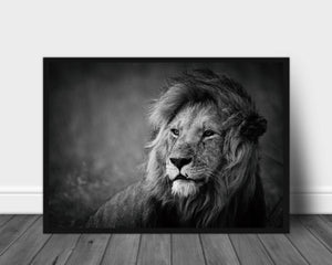 Regal poster - Plakatbar.no