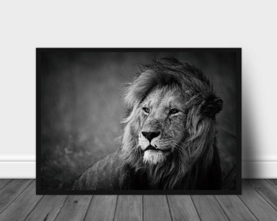 Regal poster - Plakatbar.no