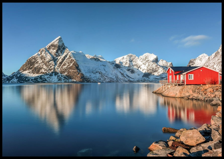 Rensdyr i Lofoten - Plakat