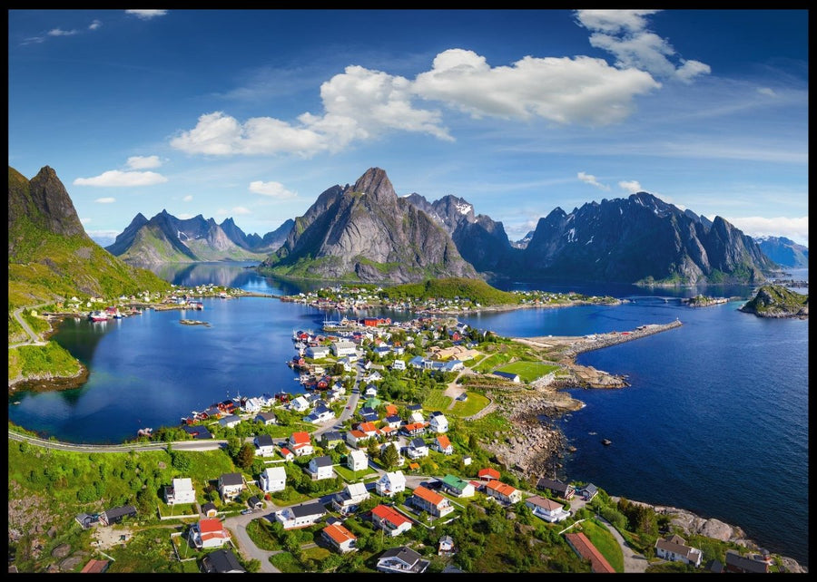 Reindeer in Lofoten - Poster