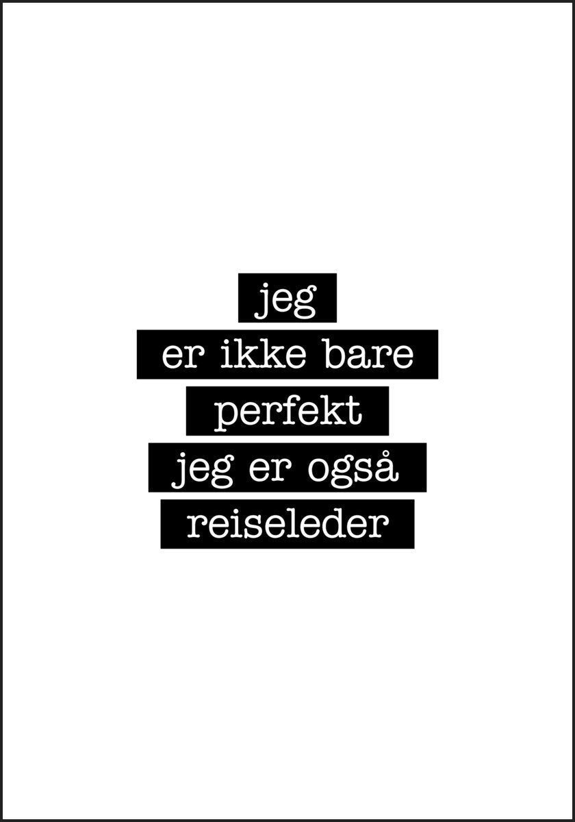 Reiseleder - Jeg er ikke bare perfekt Plakat - Plakatbar.no