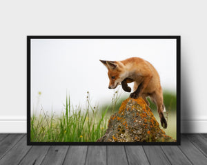 Reven jakter poster - Plakatbar.no