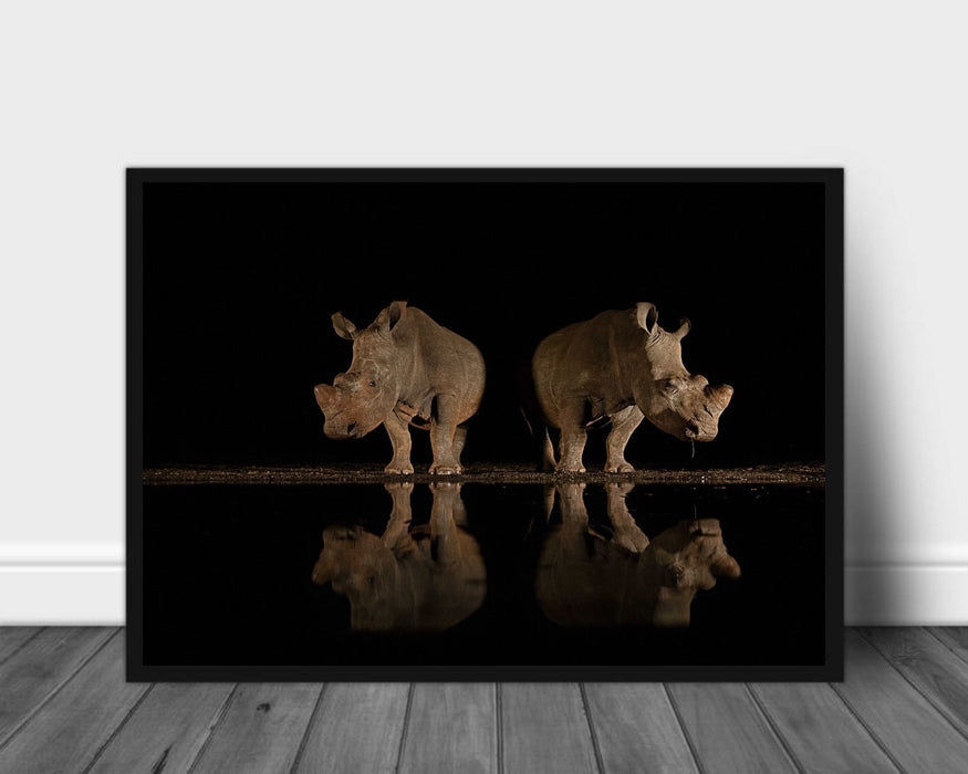 Rhino at the waterhole poster - Plakatbar.no