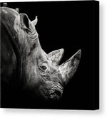 Rhino - kvadratisk lerret - Plakatbar.no