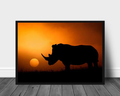 Rhino sunset poster - Plakatbar.no