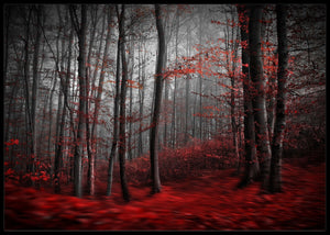 Rød elv poster - Plakatbar.no