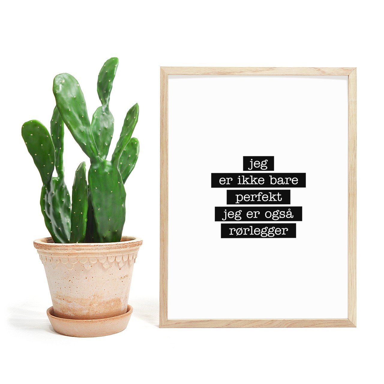 Rørlegger - Jeg er ikke bare perfekt Plakat - Plakatbar.no